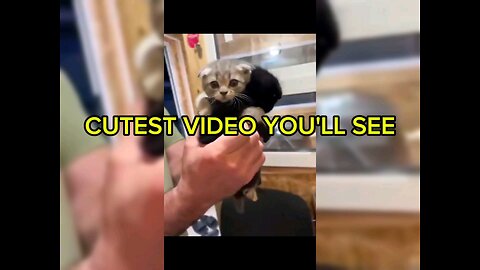 THE CUTEST VIDEO YOU'LL SEE
