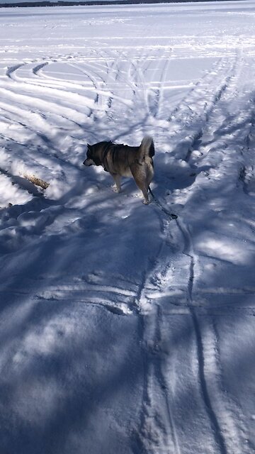 Wednesday February 4, Christ is the visible image of the invisible God.