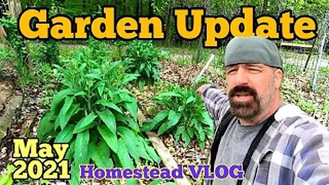 Garden Update