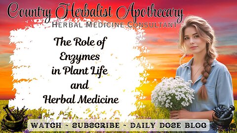 The Role of Enzymes in Plant Life and Herbal Medicine