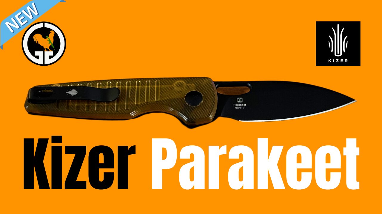 Kizer Parakeet - New for April 2025