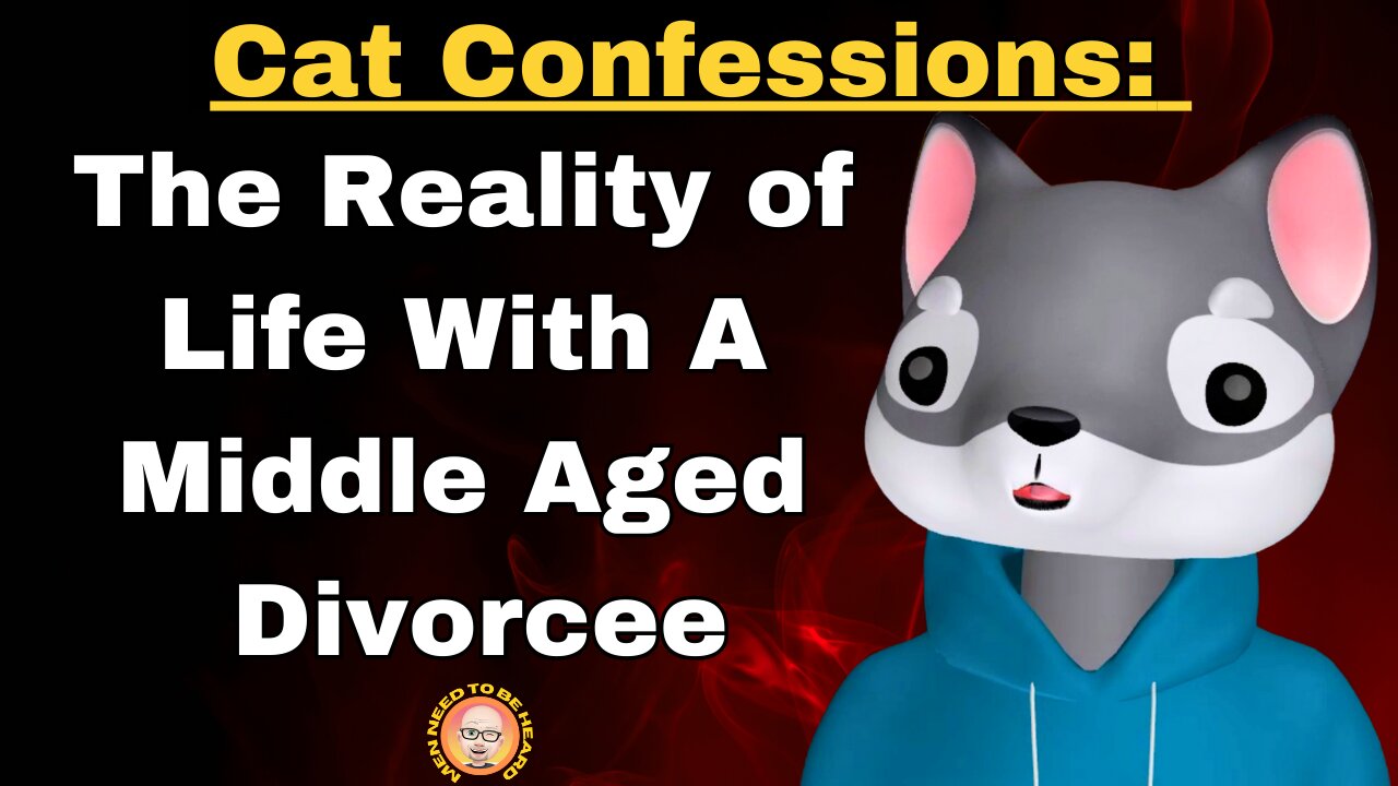 Cat Confessions: The Reality of Life With A Middle Aged Divorcee