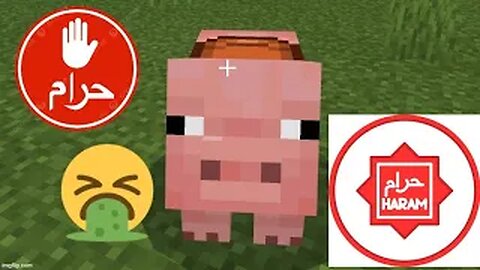 MINECRAFT HARAM PIGS