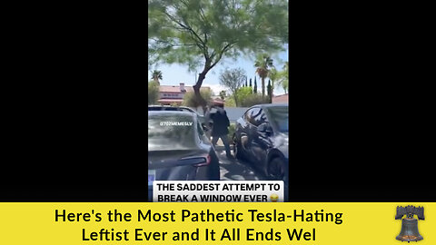Here's the Most Pathetic Tesla-Hating Leftist Ever and It All Ends Well