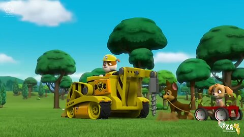 PAW Patrol Cartoons