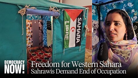 Freedom for Western Sahara: Sahrawis Demand End of Moroccan Occupation at U.N. Human Rights Council