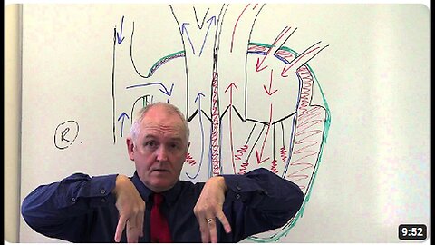 "Heart and Blood Flow: A Deep Dive into Cardiovascular System 2"