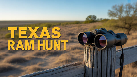 Just Arrived! Will He Snag a Ram?