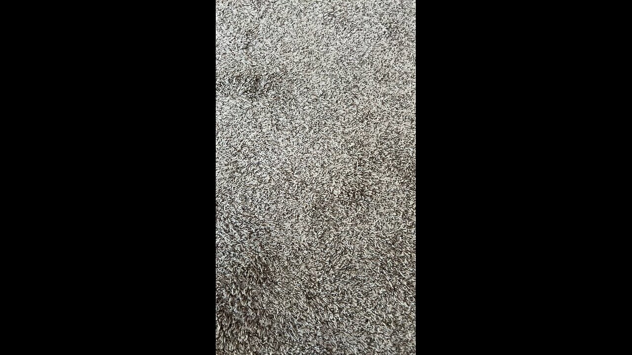 Test 0721