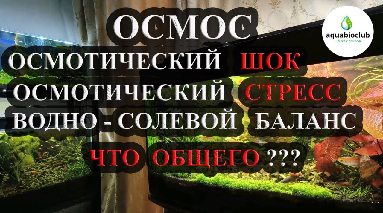 "Осмос, осмотический стресс/шок и аквариумистика."
