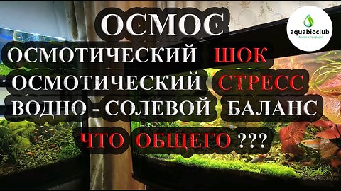 "Осмос, осмотический стресс/шок и аквариумистика."
