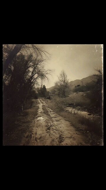 Laney of Hollow Creek Rd