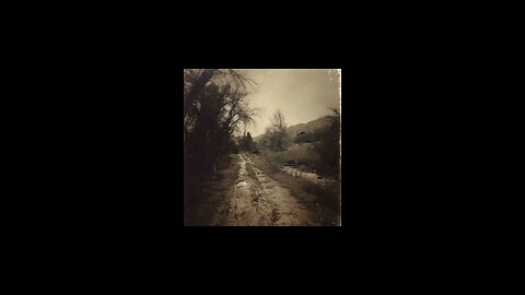 Laney of Hollow Creek Rd