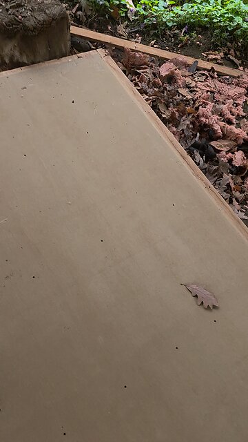 To Capture A Bee Hive