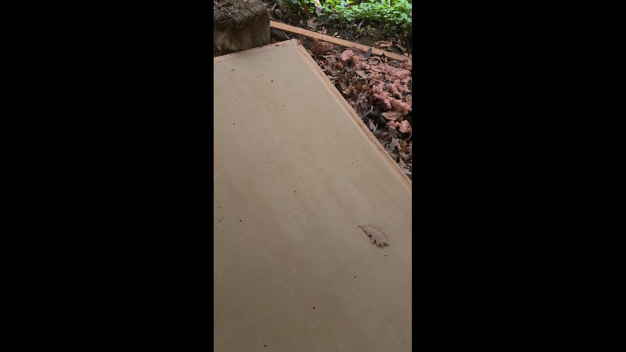 To Capture A Bee Hive