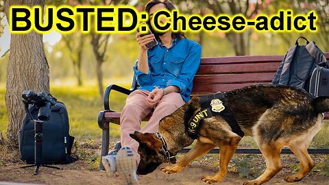 Should sniffer dogs be allowed to sniff left and right in parks, festivals and other open spaces