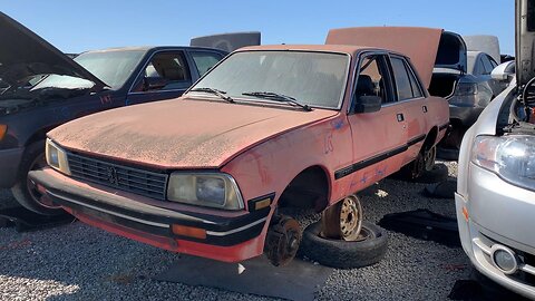 1987 Peugeot 505 STX Junkyard Tour