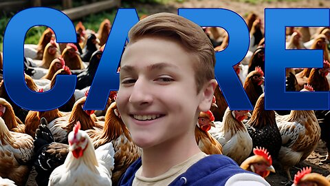 Morning Chicken Care