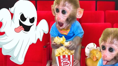 Bonmonkeykiki plays a prank on little monkey friend: A fiery ending to the joke& theatre...