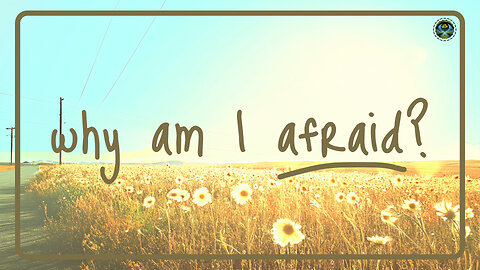 Why am I afraid? | 4K