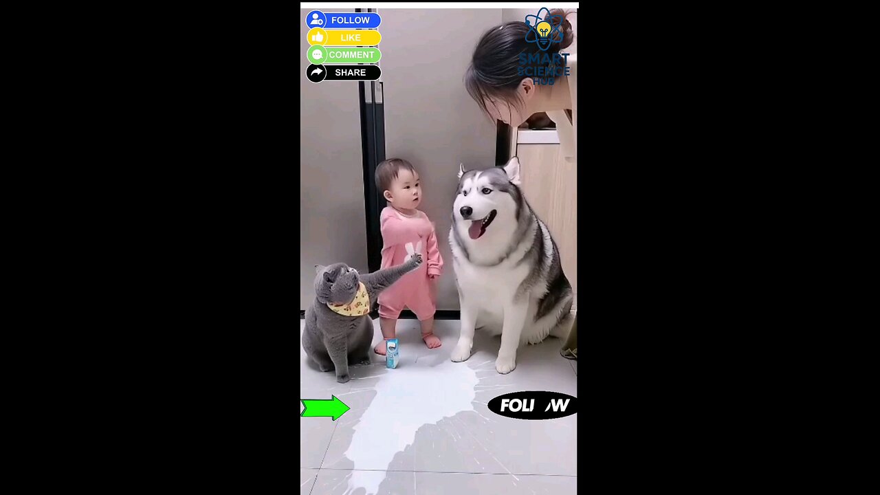 “Dog vs Cat Trap — You Won’t Believe What Happens Next 😼🐕”