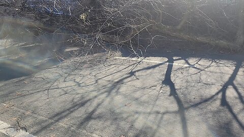 Natural disasters in california that tree came out and crush the car all the way until the roots