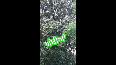 satisfying Video