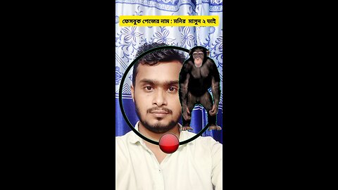 বানরের মাথাটি জোড়া লাগান ৮৮ 🧩✅ #reels #puzzle #viral #tending #viralreelsシ #foryou