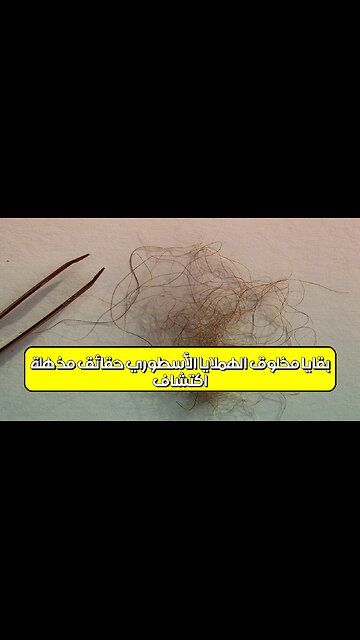 اكتشاف بقايا مخلوق الهملايا الأسطوري: حقائق مذهلة! #الهملايا #مخلوقات #أساطير