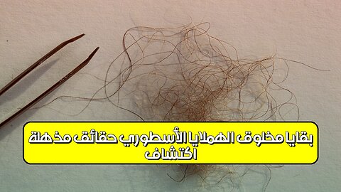 اكتشاف بقايا مخلوق الهملايا الأسطوري: حقائق مذهلة! #الهملايا #مخلوقات #أساطير