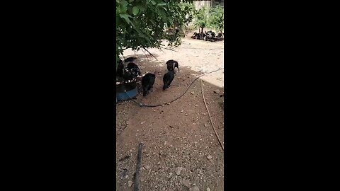 Video Beautiful #video