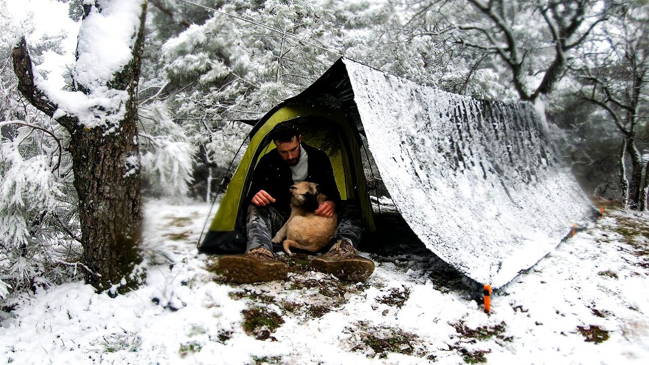 Caught in Heavy Snow With My Dog - Winter Camping