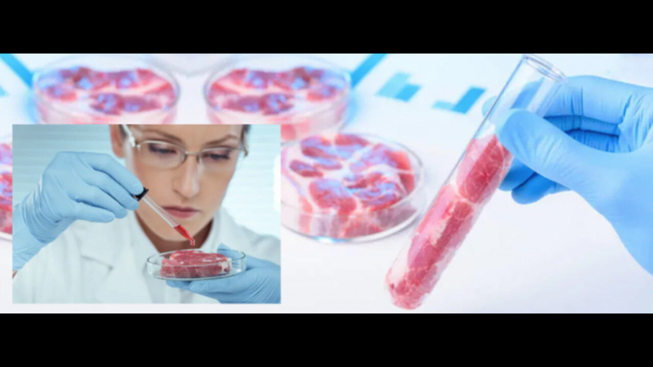 Bill Gates should be disected on live TV