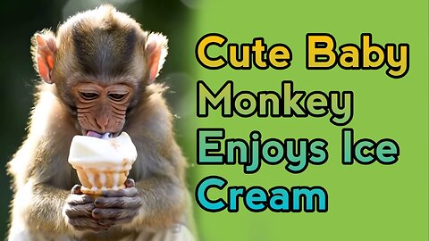Cute Baby Monkey Enjoys Ice Cream!