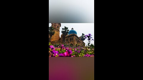 Dasi