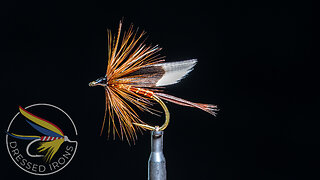 Tying the Magpie Wet Fly- Dressed Irons