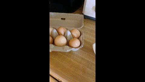 Frozen eggs