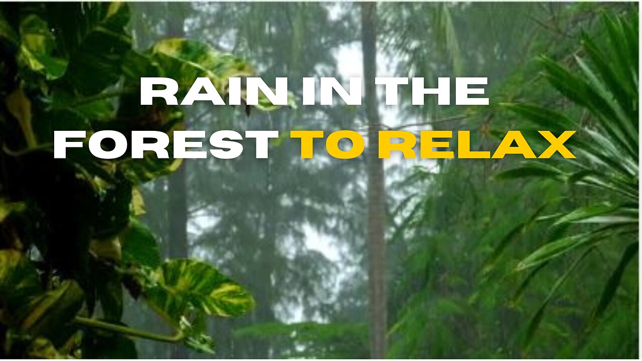 Sound of rain in nature, relieves stress and anxiety