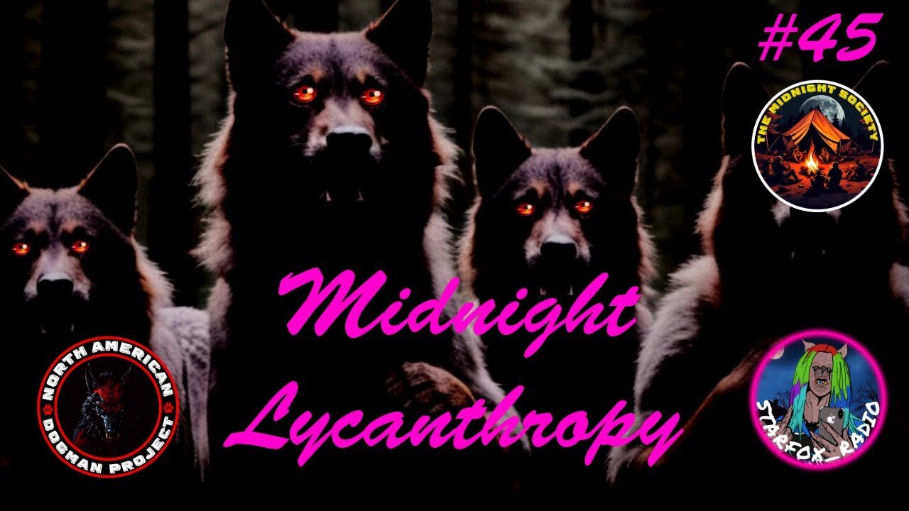 Dogman, Leader Of The Pack! FT Joedy Cook