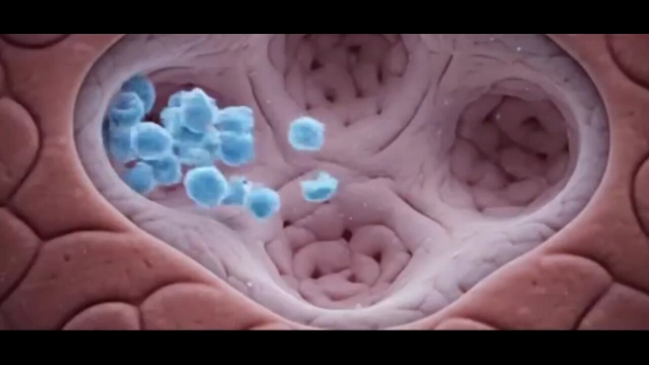 Pets are Being Injected with Nano Tech Self Amplifying Vaccines