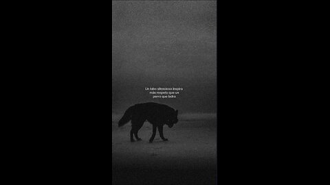 218/365 días | 🔱