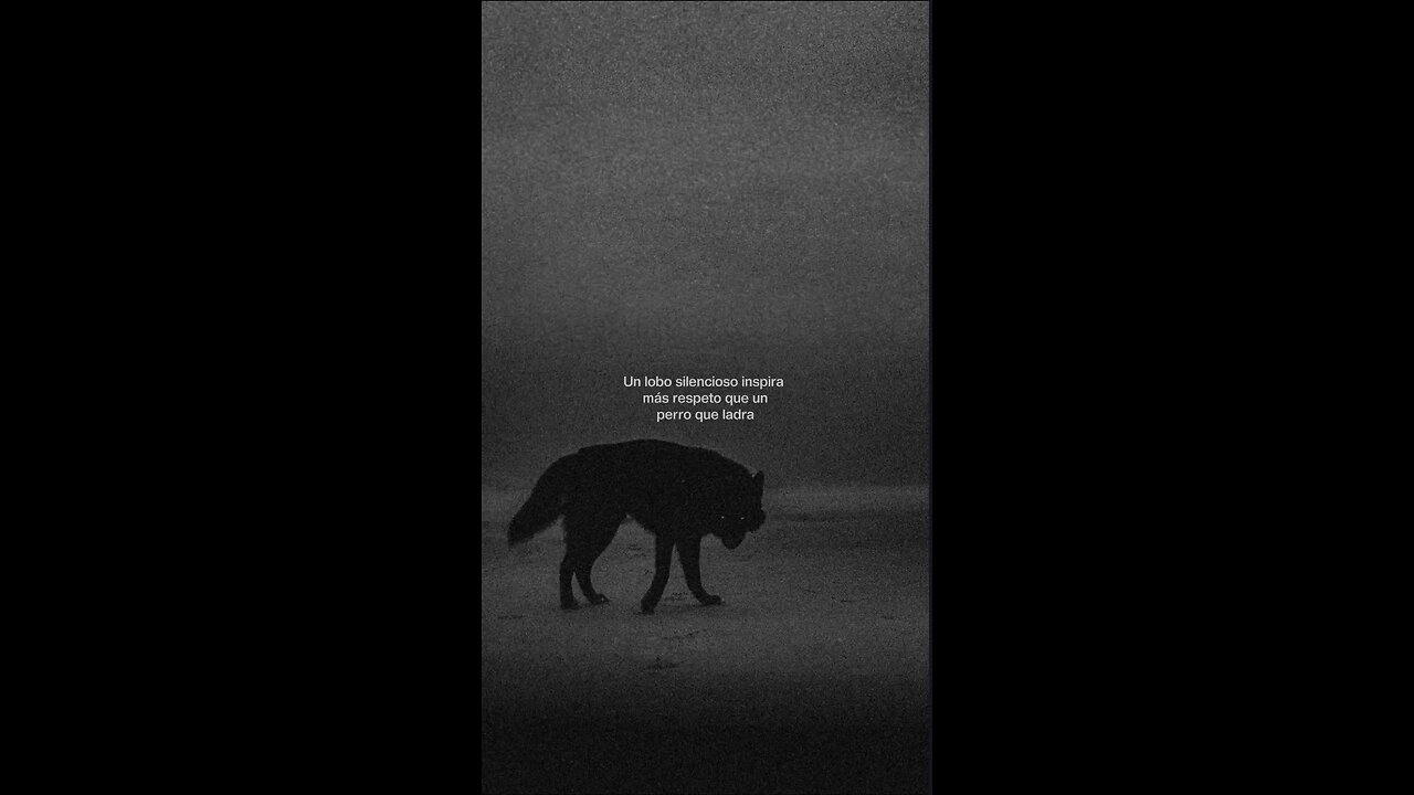 218/365 días | 🔱