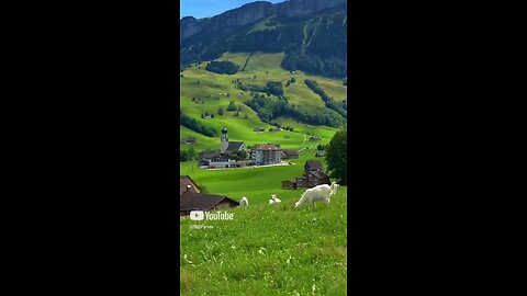 natural video