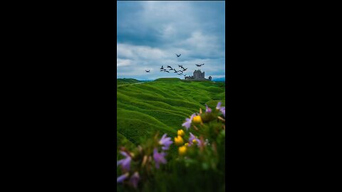 _The Whisper of Ireland_