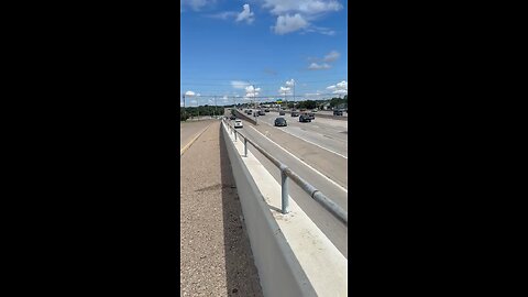 🙏Two amazing drivers band together to rescue a pair of dogs running on the freeway 🏆