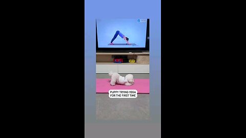 एक्साइज