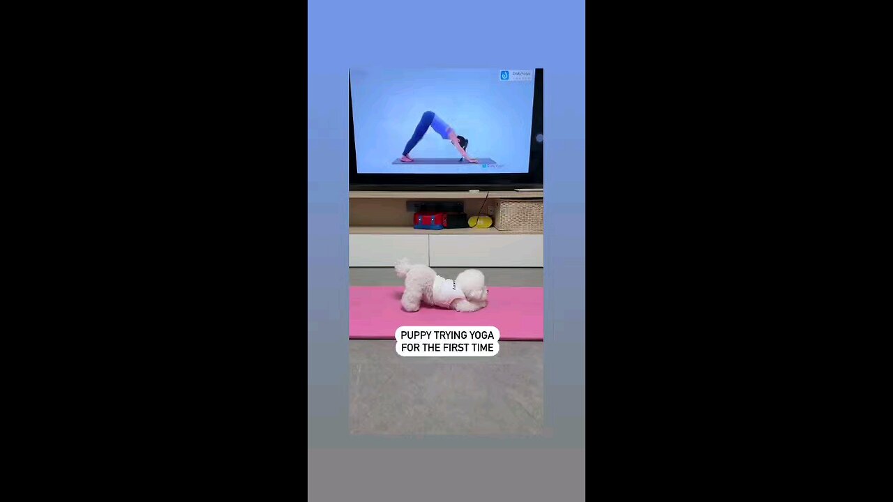 एक्साइज