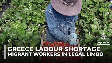 Greece faces labour shortage as migrant workers toil in limbo_ lacking rights and legal status