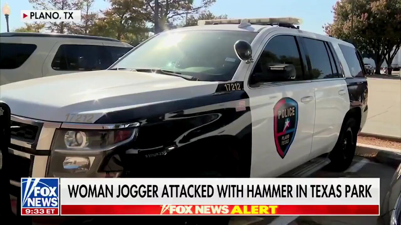 Hammer Attack in Plano Park: 17-Year-Old Illegal Immigrant Charged After Vicious Assault