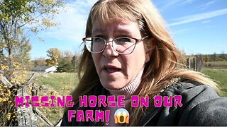 Scouring Our PROPERTY For A Missing HORSE!